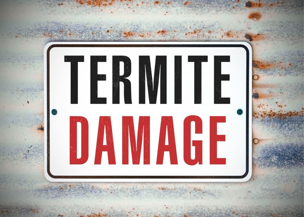 termite treatment tucson